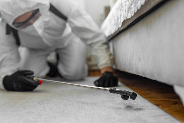 Professional Cockroach Control technician working in Ontario, CA
